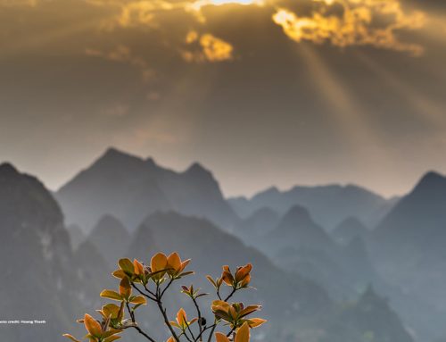 KHUNG THỰC THI CHUNG (JIF)