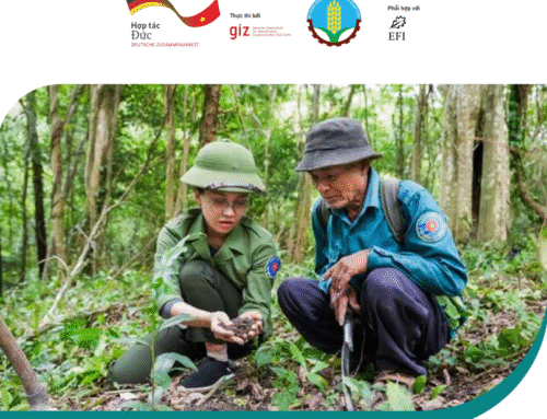 Phân tích hiện trạng giới trong ngành lâm nghiệp tại Việt Nam